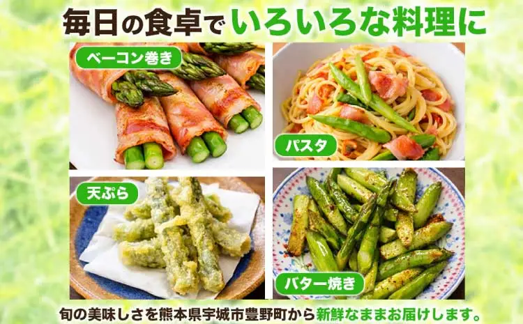  訳あり アスパラガス  約500g (S～L) 【2026年7月上旬～2026年10月中旬発送予定】