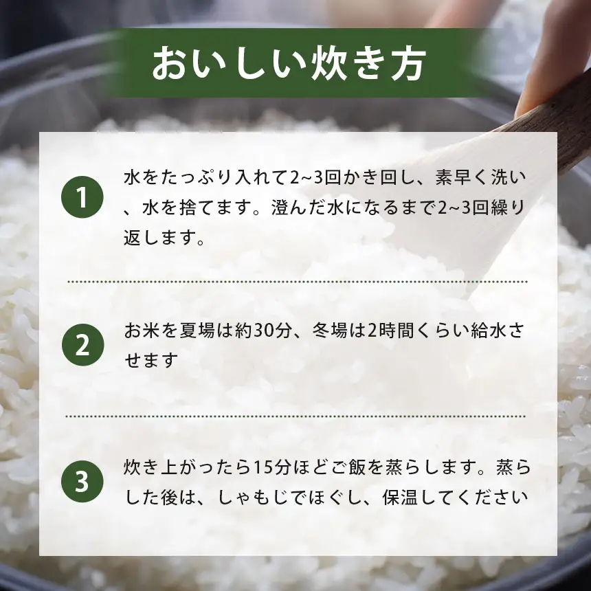 令和8年度産 新米 晴るる 玄米 20kg 村上農園 先行予約 ＜ 2026年9月下旬より11月末まで順次発送 ＞ 