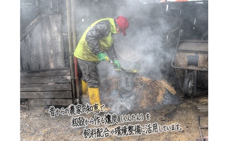 熟成豚肉セット 長谷川の自然熟成豚 味噌漬け ロース 熟成豚肉セット