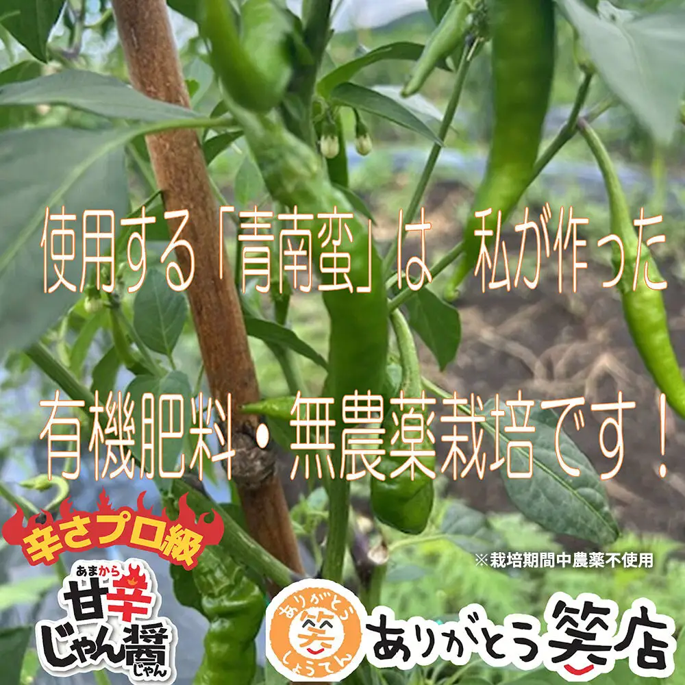 甘辛じゃん醤 ノーマル・にんにくプラス・おかかプラス 3点セット 調味料