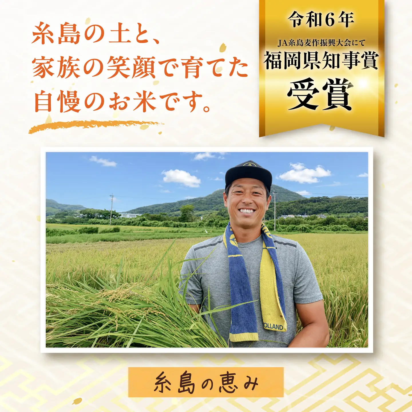【先行受付】【全12回定期便】 にじのきらめき 白米 10kg 【2026年9月中旬以降順次発送】 糸島市産 糸島市 / 糸島の恵み コメ こめ ご飯[AGR020]