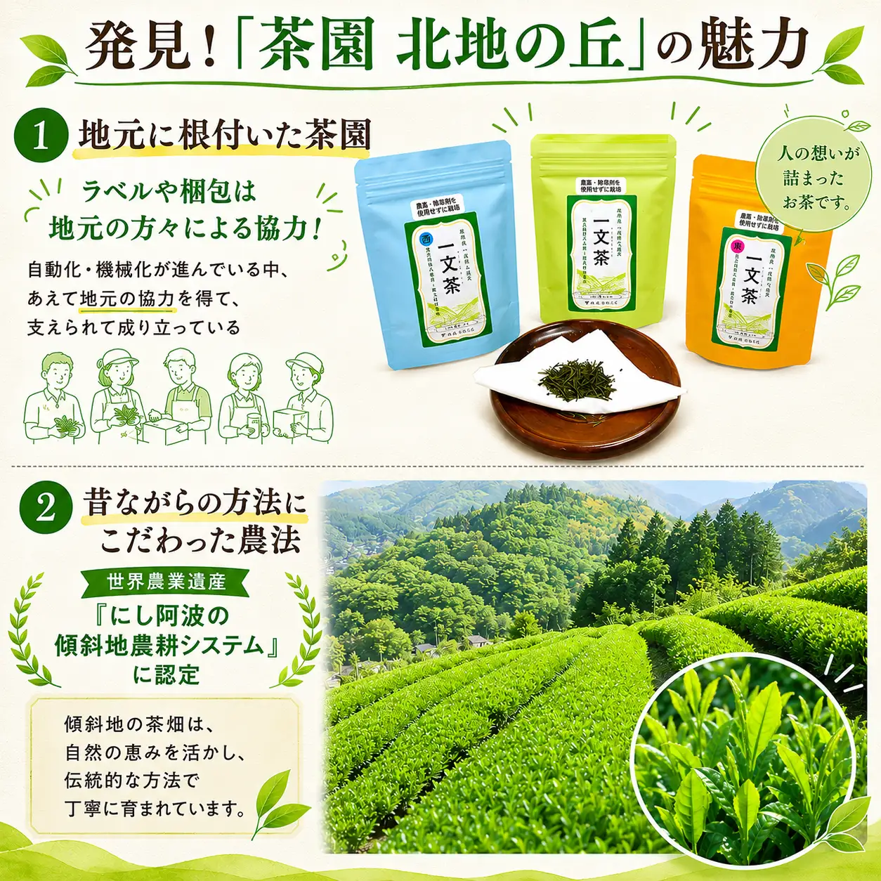 〈 新茶 〉 緑茶 西の傾斜地 40g × 3袋 茶葉 【 一文茶 】