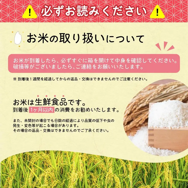 【〈毎月〉2026年11月上旬開始】《先行予約》【令和8年産 6回定期便】はえぬき 合計30kg（5kg×6回）清流寒河江川育ち 山形産はえぬき 山形県産 2026年産 精米 30キロ　069-C-JA022-202611上-毎月