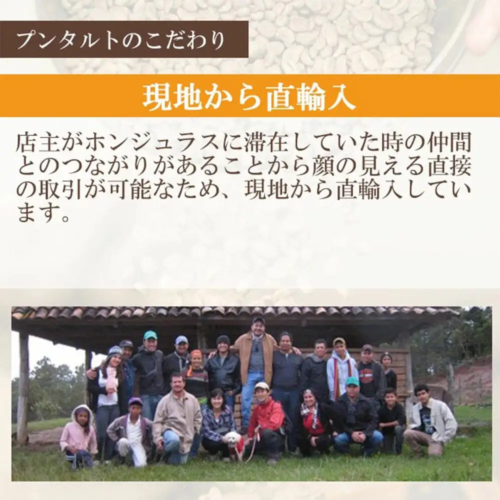 コーヒー粉 自家焙煎 ホンジュラス スペシャルティコーヒー 焙煎豆 200g 粗挽き【酸味系】 コーヒー粉