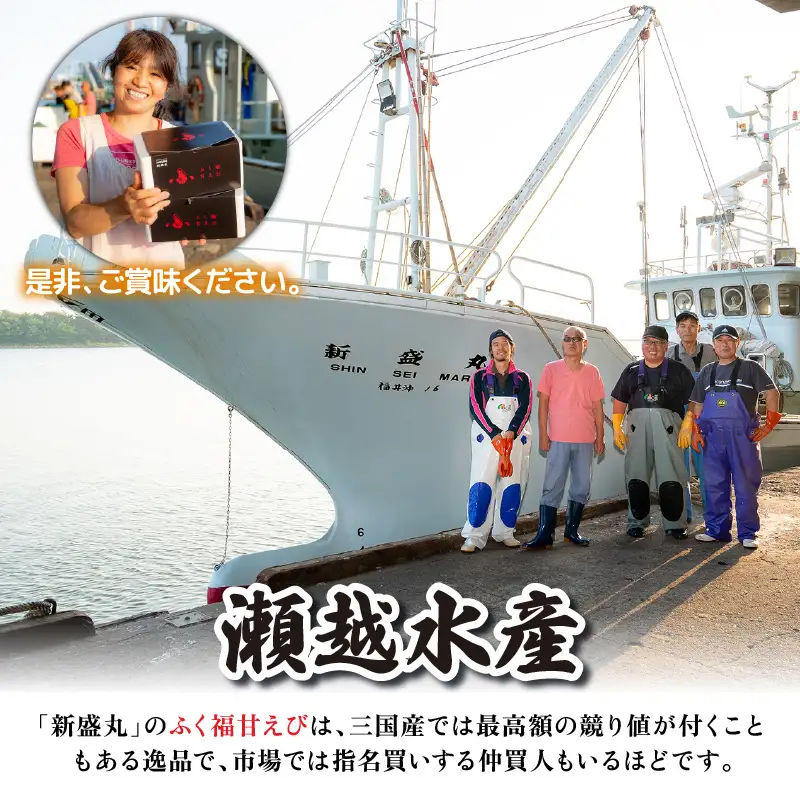 先行予約 新鮮 ふく福甘えび（生）600g 2026年9月上旬以降順次発送予定 冷蔵発送 エビ 海老 [A-13562]