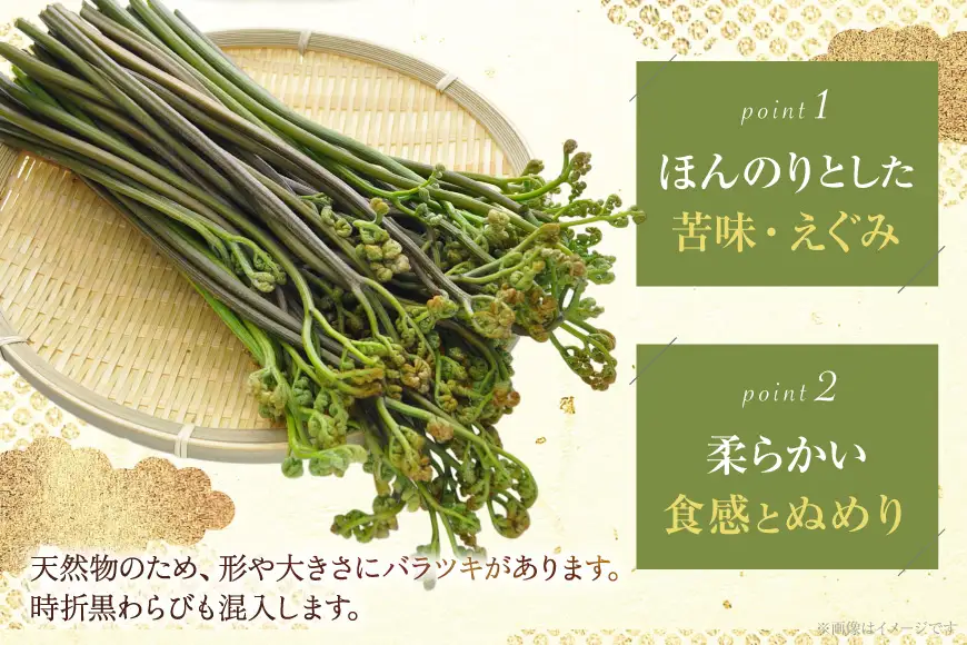 わらび 塩蔵わらび 400g 2袋 計800g
