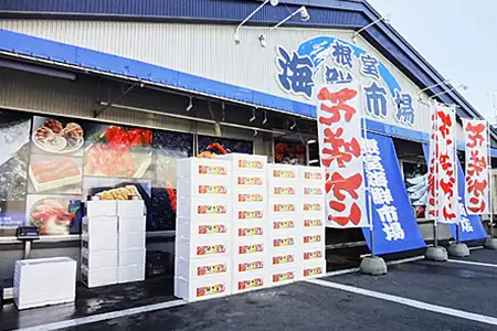 【北海道根室産】無添加天然時鮭(トキシラズ)1尾分切身10～12切 B-11124