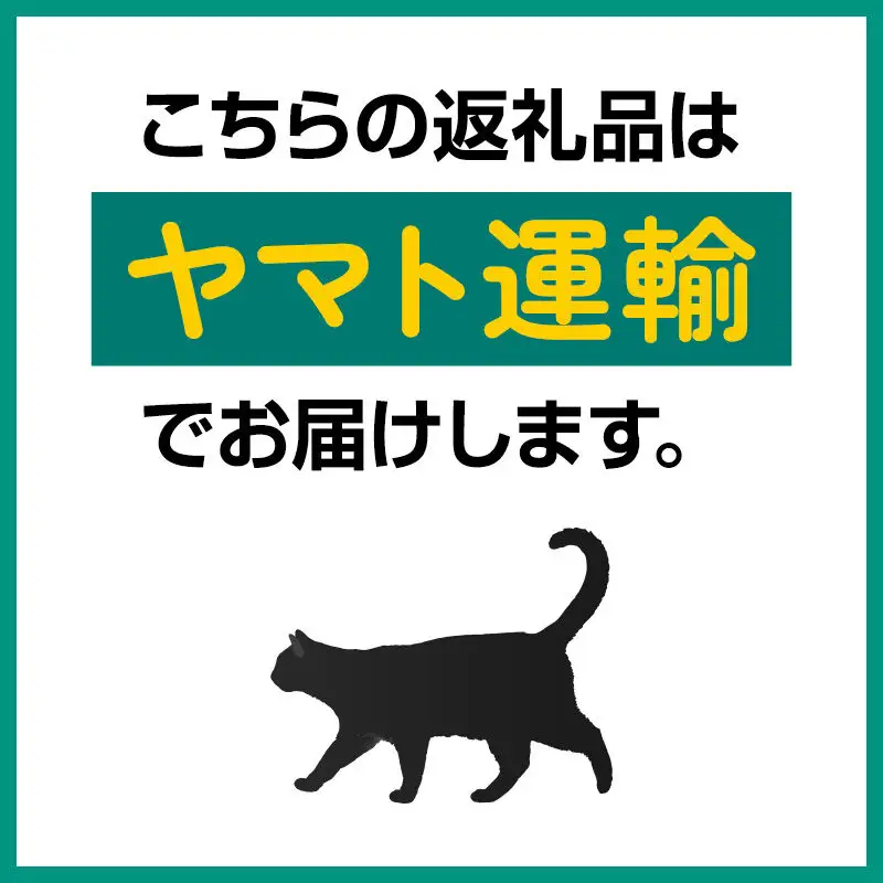 《近畿以北限定》 夏イチゴ専門農園の園主おすすめ！ 仙北市産 夏イチゴ 約600g（約300g×2パック）