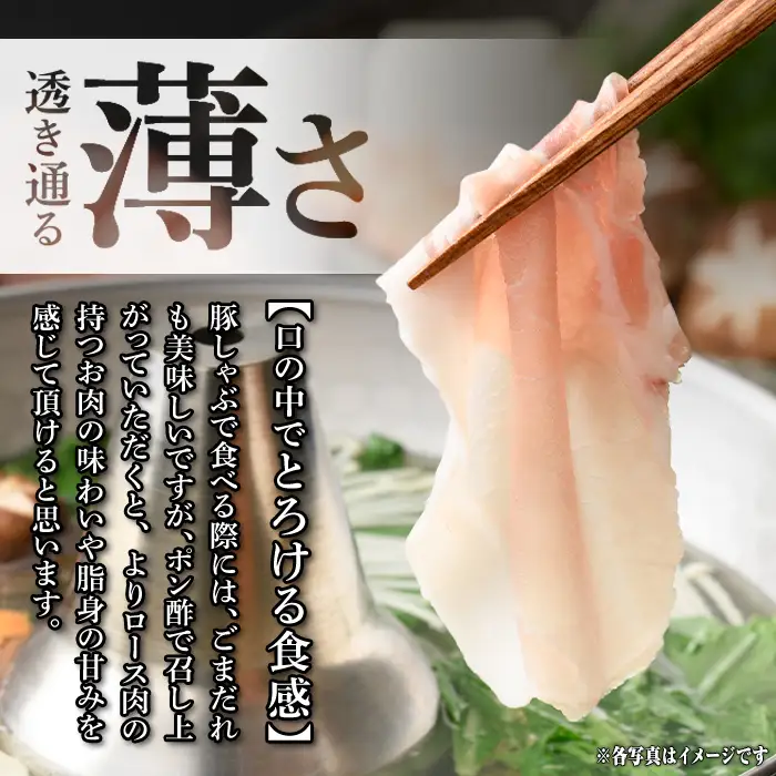 isa944 〈訳あり〉九州産豚ロースしゃぶしゃぶセット(合計2.4kg・300g×8P) 九州産 肉 豚肉 豚 ぶた ロース スライス しゃぶしゃぶ 個包装 パック 真空包装 冷凍 【サンキョーミート株式会社】