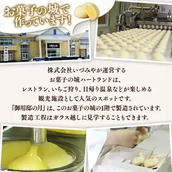 御用邸の月 10個入り 3箱 〔P-452〕 | お菓子 菓子 和菓子 個包装 ギフト 贈答用 プレゼント お取り寄せ スイーツ おやつ 人気 ランキング お土産 ご当地 銘菓 有名 那須町 カステラ カスタード いづみや