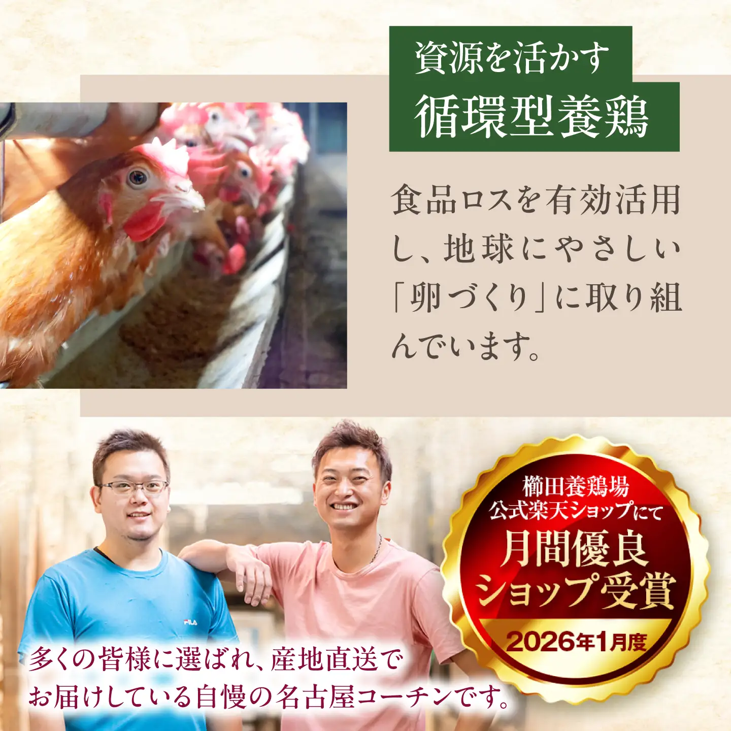 【定期便3回】名古屋コーチン 卵 毎月20個（18個＋割れ保証2個）×3ヶ月 / 卵 たまご 定期便 高級卵 / 稲沢市 / 櫛田養鶏場[BMAY013]