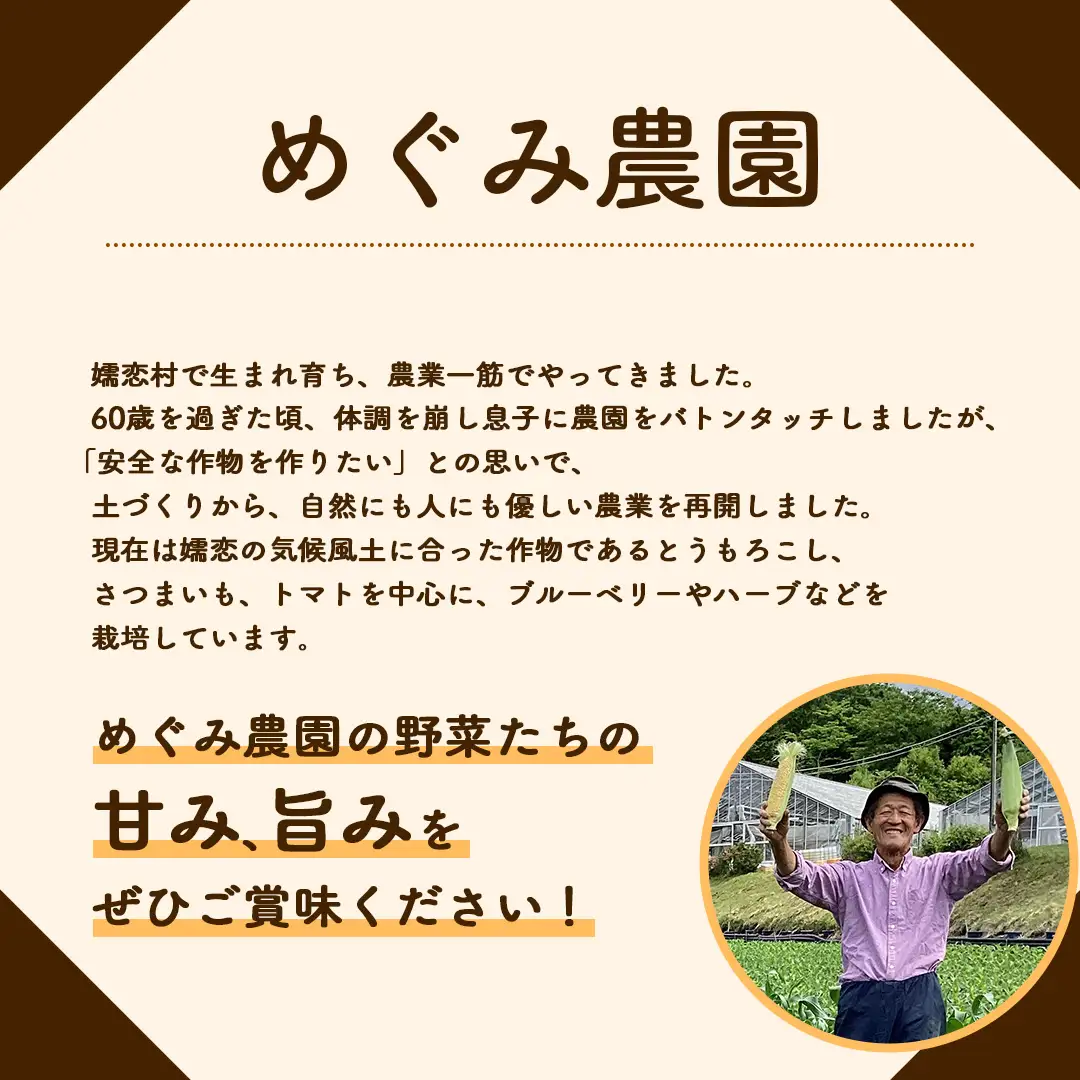 嬬恋村 の 農園 アイス さつまいも 100ml 10個入り [AT020tu]