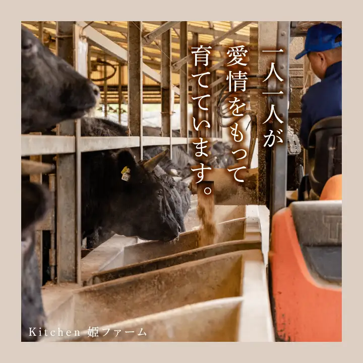 黒毛姫牛「焼肉人気3種セット」 （バラ焼肉用500g／三角バラ焼肉用500g／ウデ肉焼肉用500g）