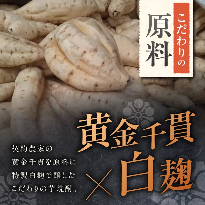悪太郎 芋焼酎 25度 1800ml×2本 K377-025_05 芋 焼酎 お酒 