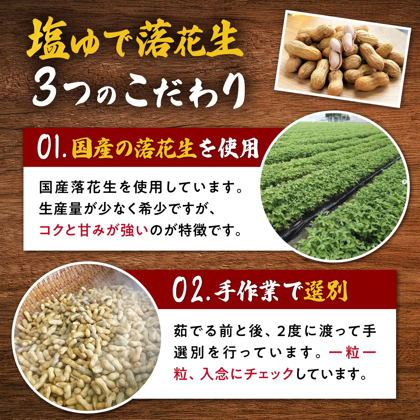 落花生　2種食べ比べセット　計750g（茹で500g・殻付き250g）[ACZR019]