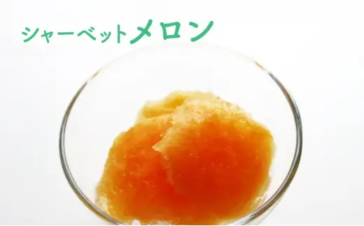 北海道 豊浦町 シャーベット 4種 味くらべ 各5本ずつ（ ブルーベリー、いちご、メロン、りんご ）