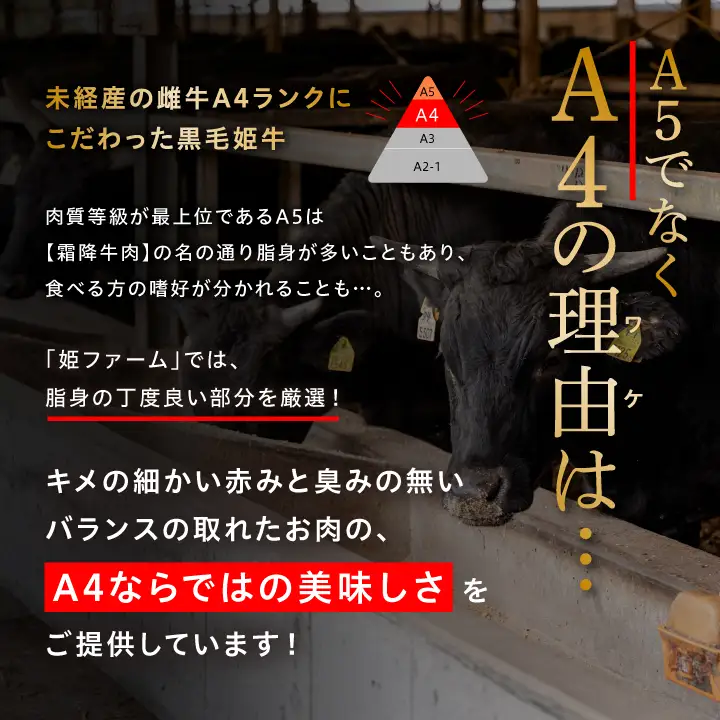 黒毛姫牛「三角バラ焼肉用500g」A4未経産黒毛和牛