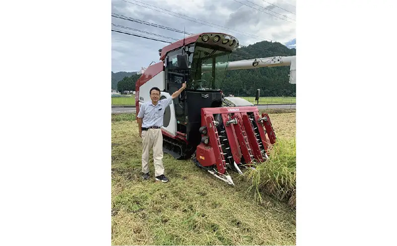 こしひかり 白米 ピロール健康米 10kg 福井県越前市産