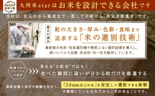 阿蘇だわらプレミアム米 精米 15kg ( 5kg × 3袋 ) お米 米 こめ コメ 白米 白飯 飯 ご飯 おにぎり 国産 熊本県産 大粒 粒立ち 食感 定期 定期配送 【6ヶ月定期便】
