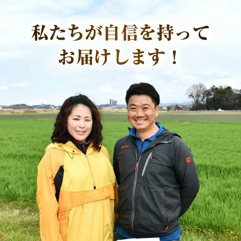 【先行予約】【令和8年産】《定期便3回》特別栽培米 コシヒカリ 5kg × 3回 （計15kg） 無洗米 低農薬 / 北陸 福井県産 あわら市 ブランド米 白米 お米 コメ 特栽米 ※2026年10月上旬以降順次発送予定 [aw056-c001]