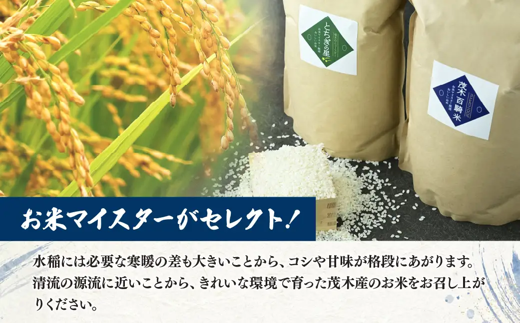 お米マイスター厳選！茂木百騎米＋栃木の星4kgとアユの甘露煮セット