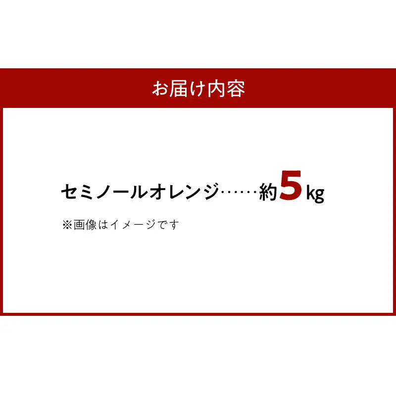 【2027年先行予約】ジューシー柑橘 セミノールオレンジ 約5kg_G7373