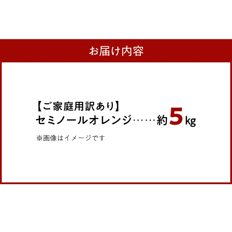 【2027年先行予約】【ご家庭用訳あり】ジューシー柑橘 セミノールオレンジ 約5kg_G7374