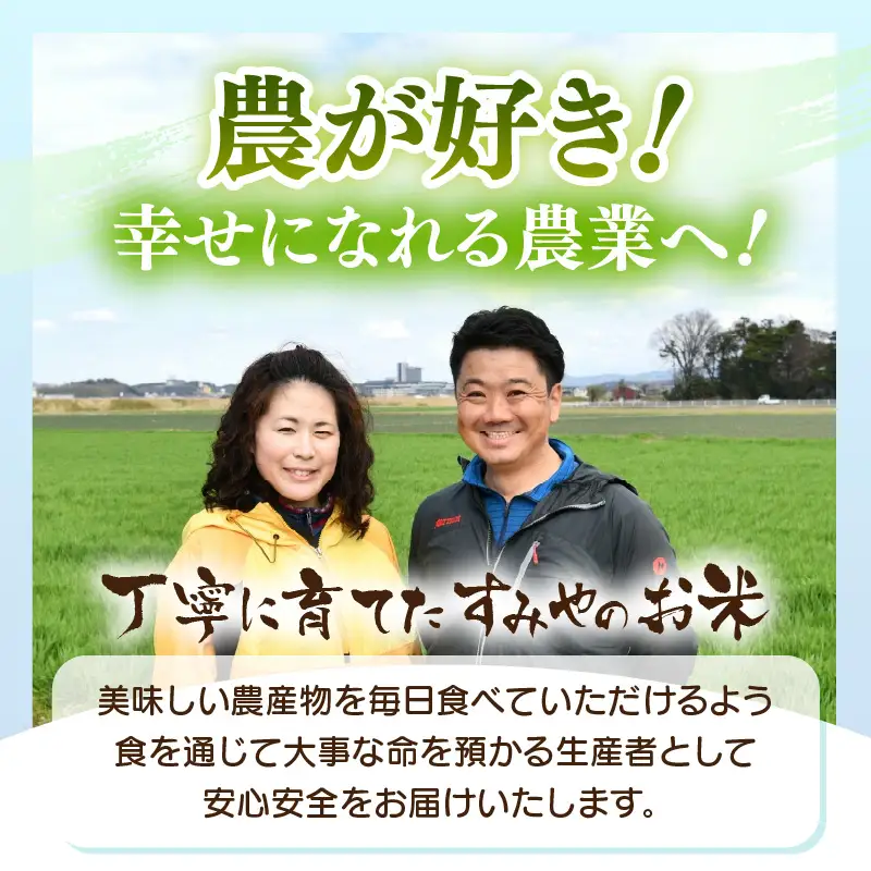 【令和8年産】 華越前 無洗米 5kg / 米 5キロ ハナエチゼン はなえちぜん 北陸 福井県産 あわら市 ブランド米 白米 お米 コメ こめ kome [aw056-a030_00]