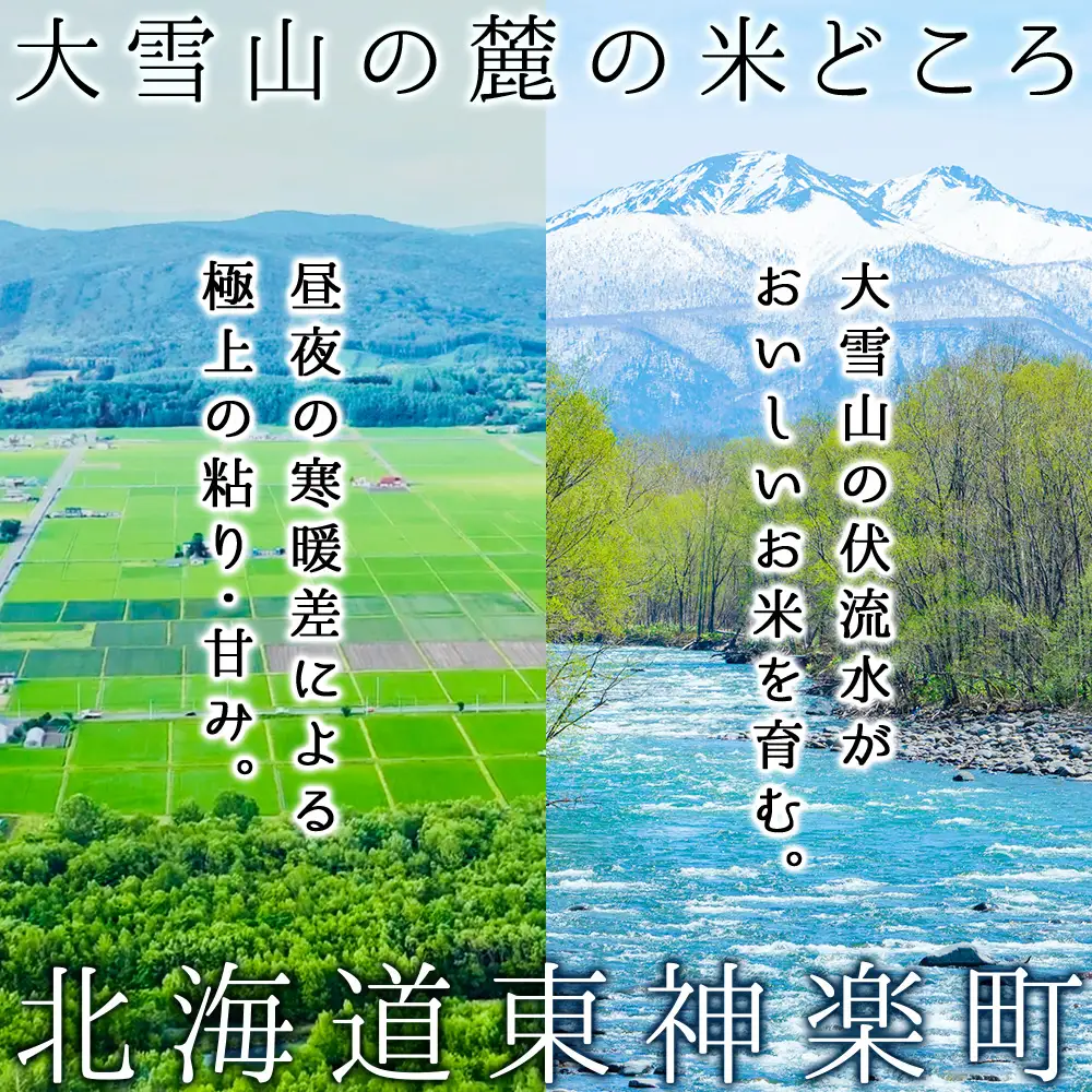 【お米の定期便】ななつぼし 普通精米 5kg 全6回 偶数月