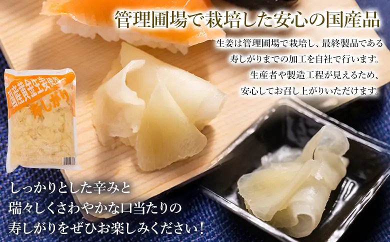 寿司ガリ 1kg がり Xnb-0011