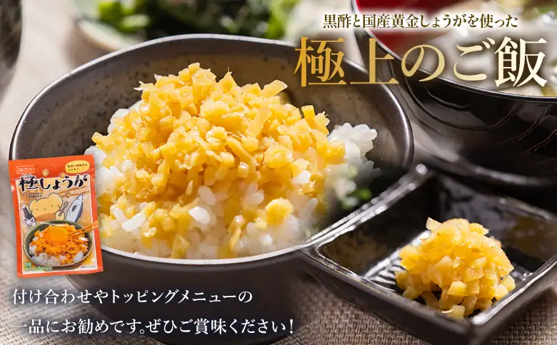 味付け 極しょうが 110g×4袋 計440g しょうが Xnb-0013