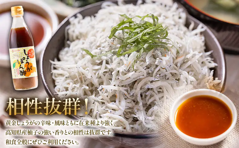 生姜ぽん酢 360ml×5本 ポン酢 Xnb-0016
