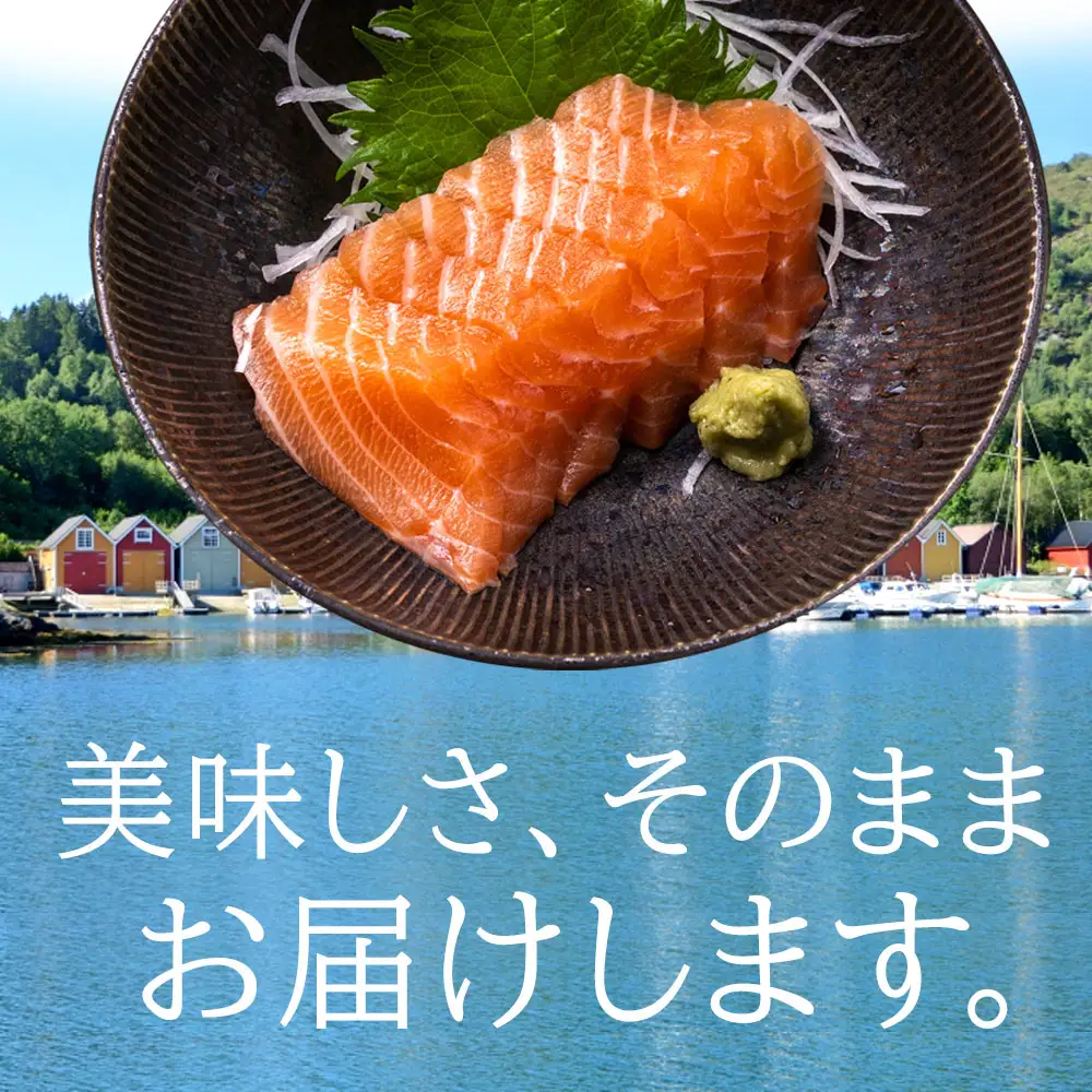 メルティーサーモン 300g～最大2kg 無添加 生食対応 フィレ 定期便対応