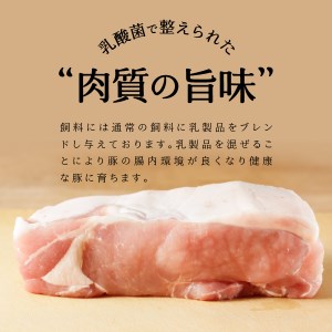 【 大西ポーク 】とんかつ ・ ポークステーキ 用 ロース肉 1.2kg ！ とんかつ ステーキ 豚肉 ロース 肉 