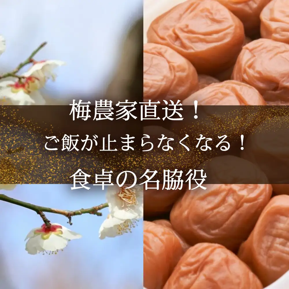 梅干し  塩分約18％ 1kg 本場紀州南高梅 完熟しそ梅干し【ktok002A】