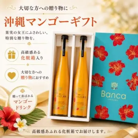 【化粧箱入り】沖縄マンゴー使用!マンゴードリンク 500ml×2本セット【1742770】
