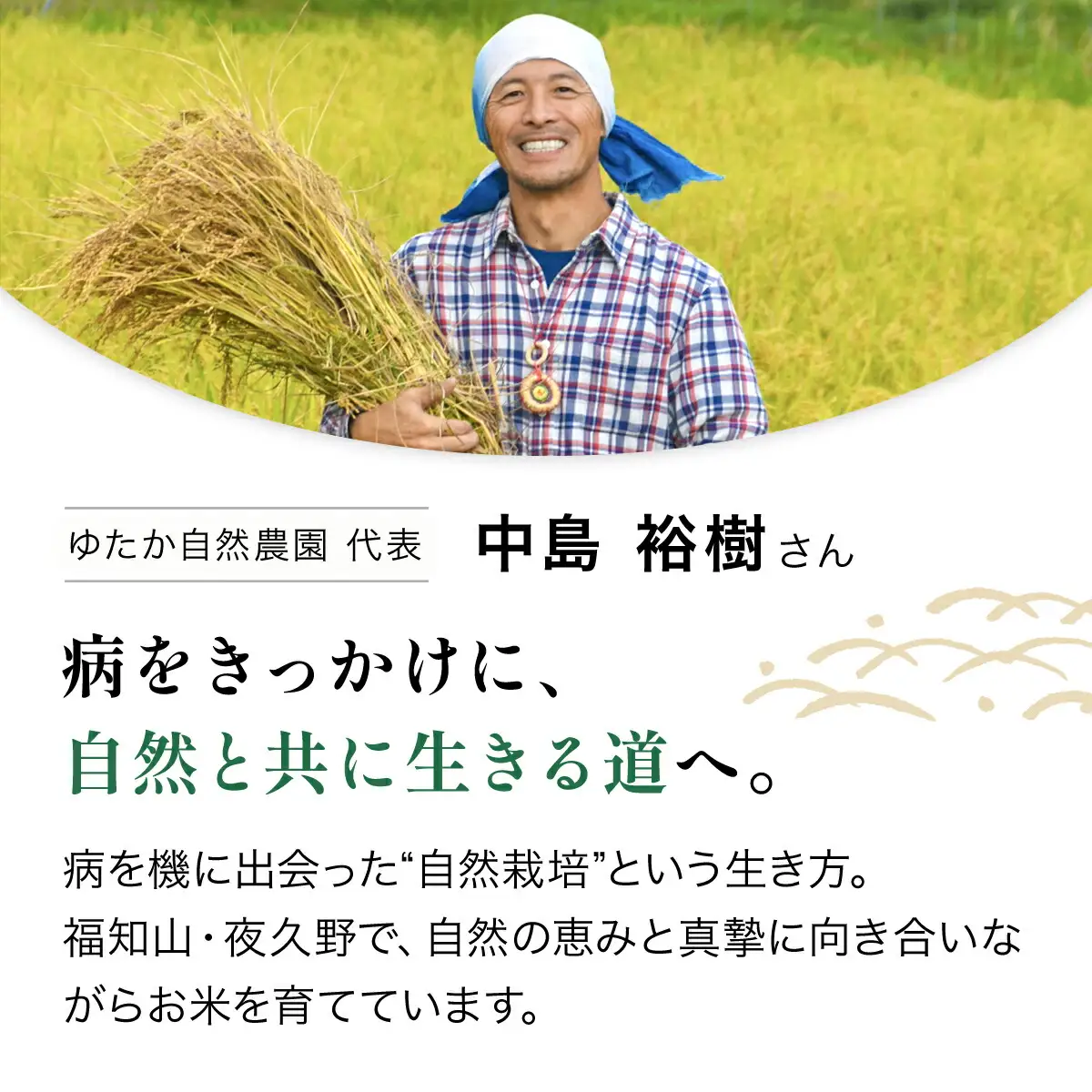令和8年産 先行予約 やくの自然栽培米 亀の尾 玄米 10kg ゆたか（ゆたか自然農園）