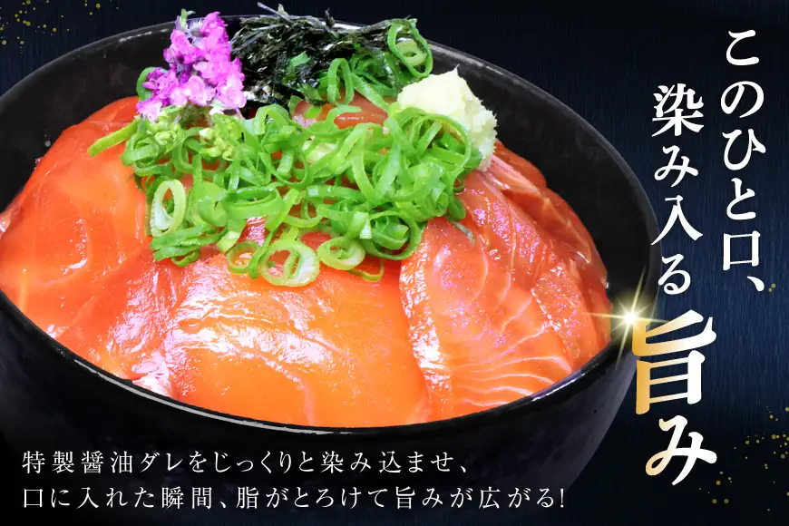サーモン FIVE STAR ブランド サーモン漬け 10パック セット 