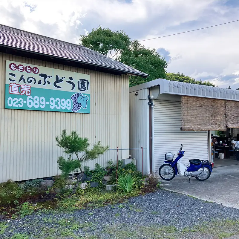 ぶどう狩り体験 (小学生以下2名まで利用) FY26-093