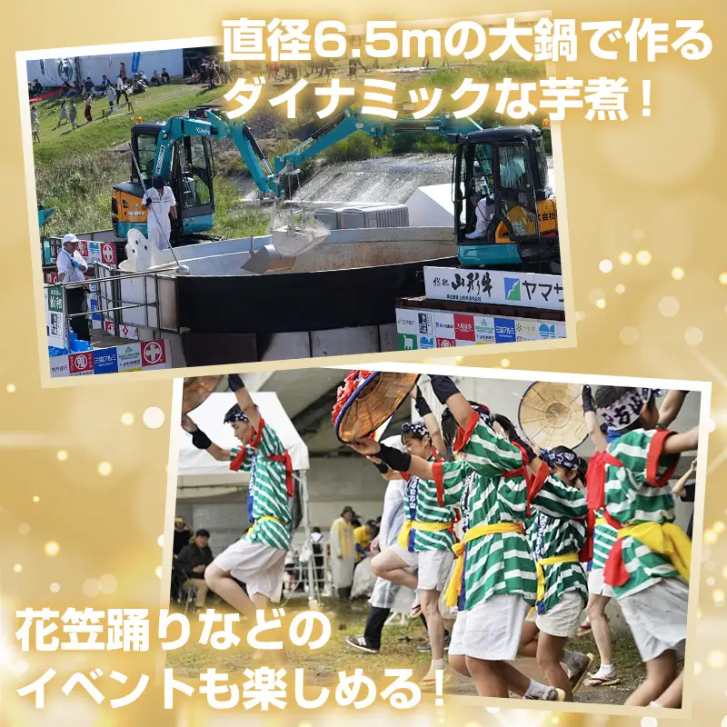 【2026年9月20日開催 AMラウンジ】日本一の芋煮会フェスティバル 贅沢プラン "IMONI LOUNGE"【大人1名様利用】 FY26-162