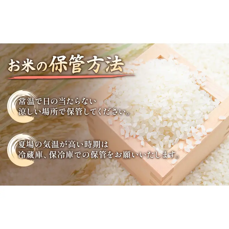 【先行予約】特別栽培米 コシヒカリ 2kg 山本農園 コシヒカリ