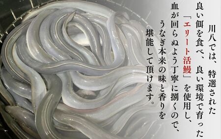 かくれ うなぎ誕生の店 川八 おうちでかくれうなぎ 3人前　【 うなぎ 】