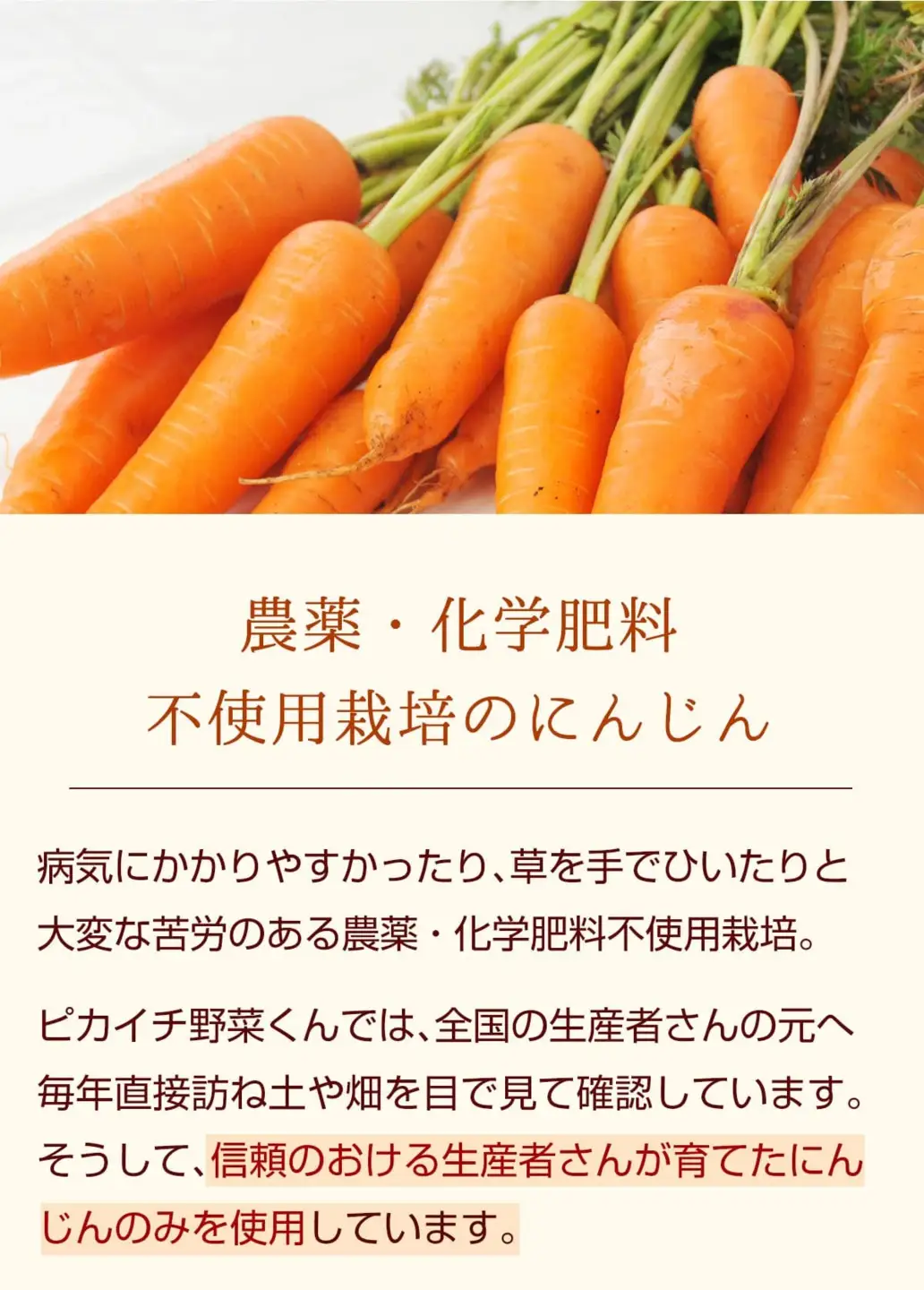 無添加ストレートにんじんジュース900ml×6本　栽培期間中農薬・化学肥料不使用の人参を使用_にんじんジュース 無添加 健康 野菜ジュース_【KN-009-003】