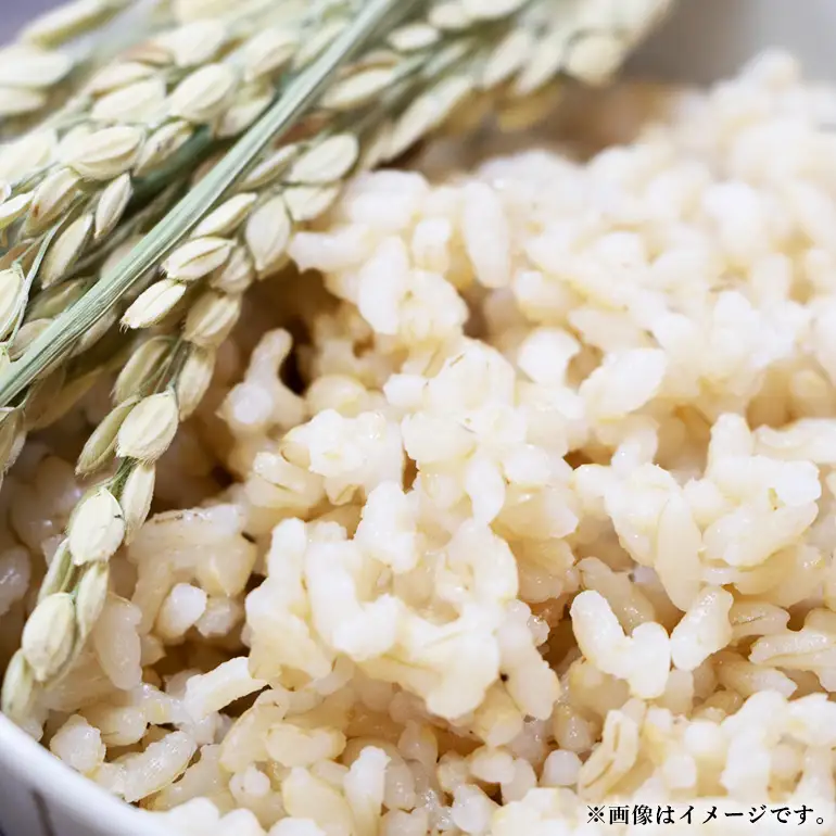 【令和7年産】いのちの壱（玄米）10kg B08-006