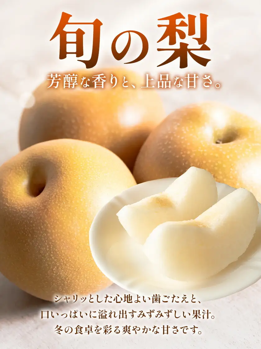 晴れの国頒布会 冬 たっぷり 無洗米 20kg 梨 4kg