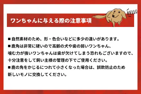 犬用「鹿の角(四つ割り)」Ｓサイズ×1本[53-1622]