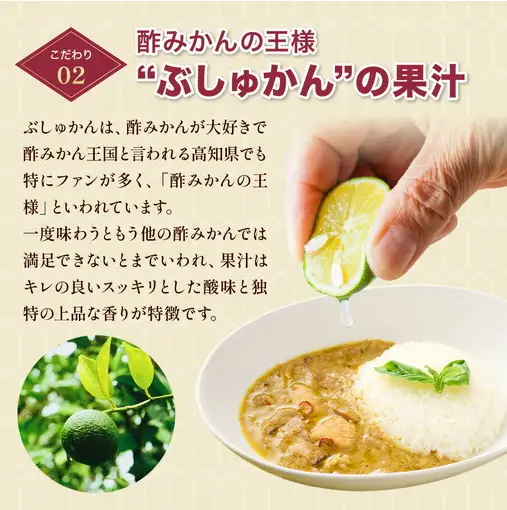 土佐はちきん地鶏 グリーンカレー 12箱 180g チキンカレー おすすめ curry かれー かれーらいす 惣菜 おかず 夕食 詰め合わせ セット レトルトカレー レトルト食品 ご当地グルメ 国産 地域限定 カレー 人気 カレー 辛口 カレーセット 高知県 室戸市