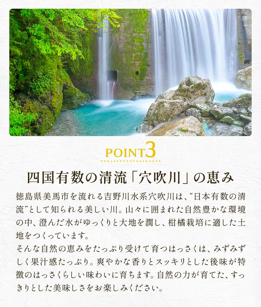 ご家庭用はっさく八朔約9kg