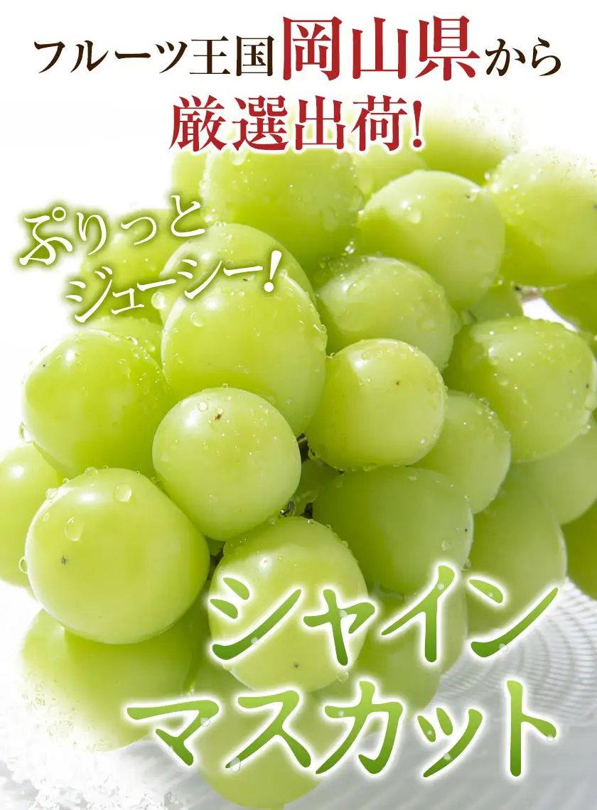 晴れの国頒布会 秋 いちおし 無洗米 10kg シャインマスカット 1.2kg