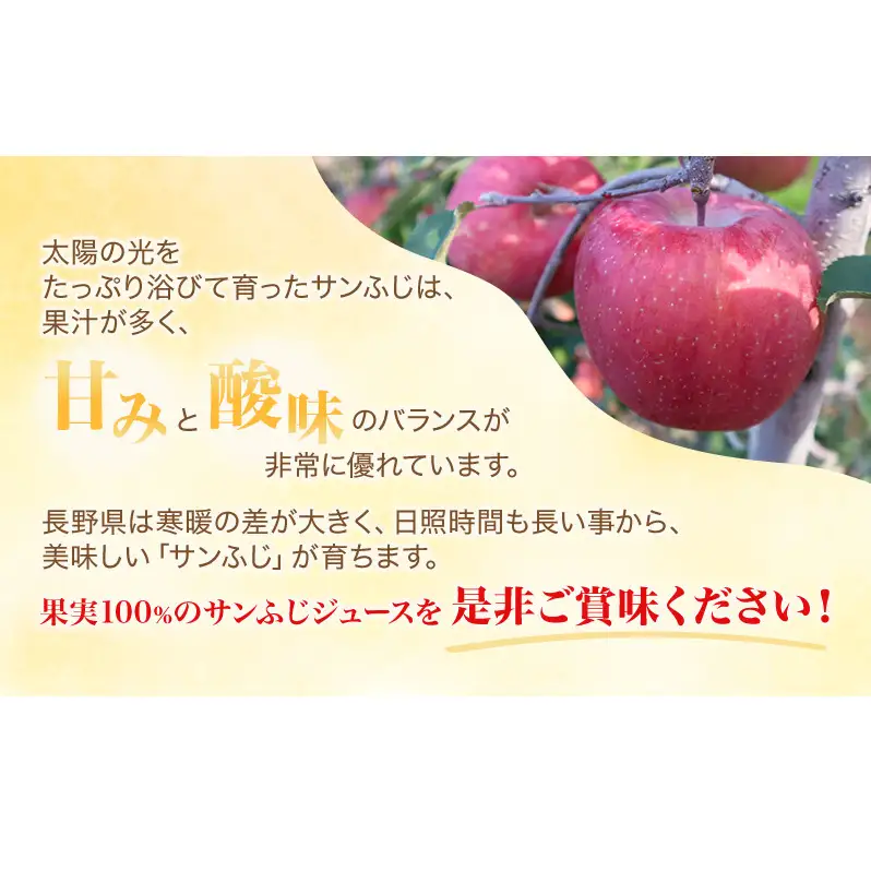 果汁100％りんごジュース 1L×2本 サンふじ ジュース ドリンク 信州 長野
